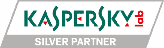 logo kaspersky silver partner